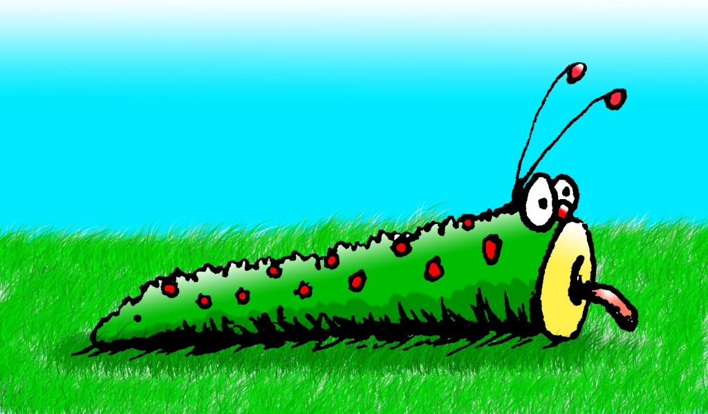Catapillar