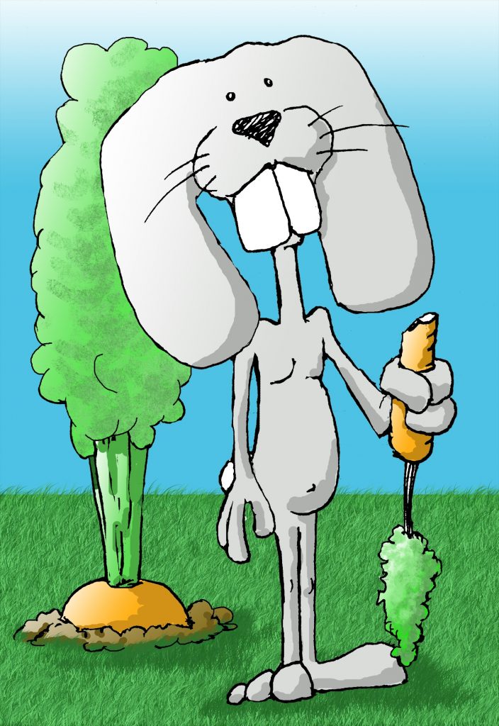 Chuck The Bunny