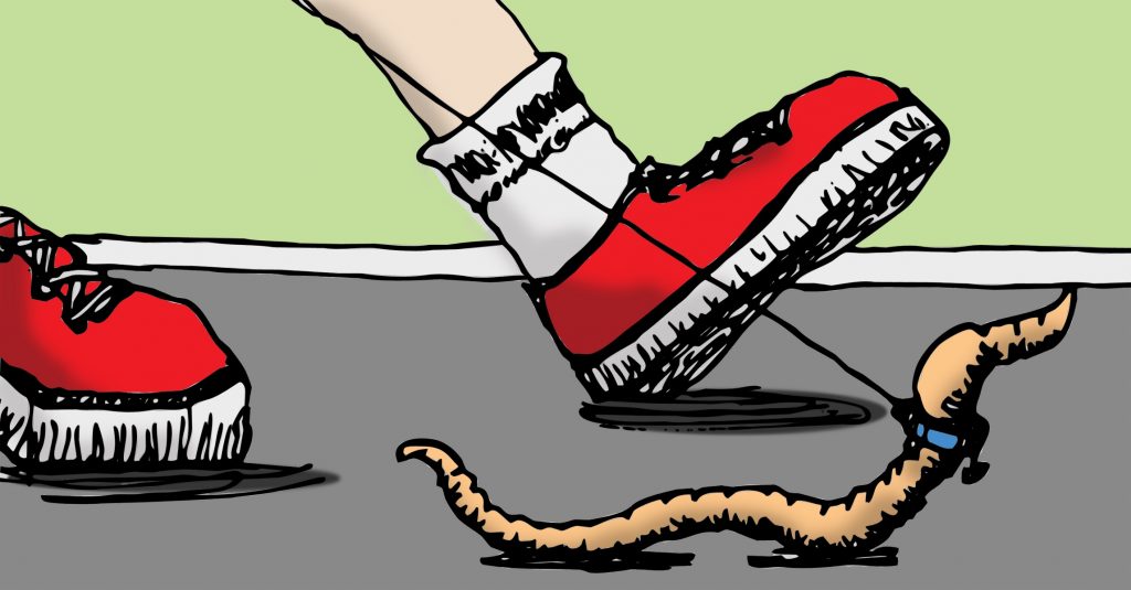 Walking The Worm