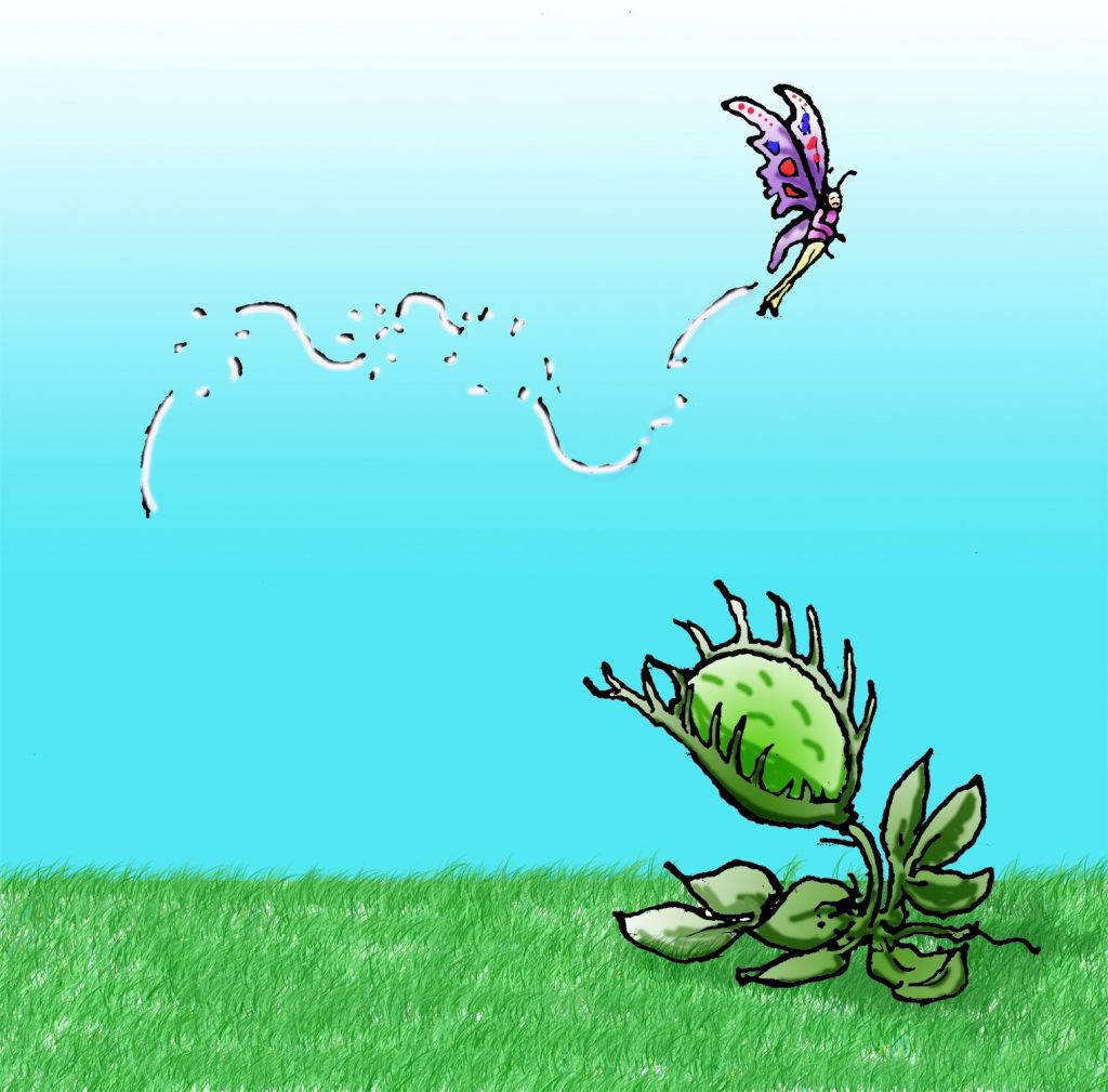 Venus Fairytrap