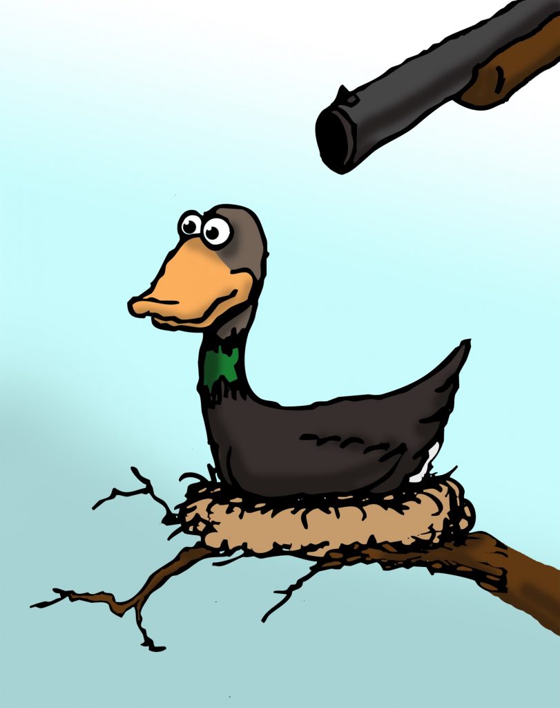 Sitting Duck