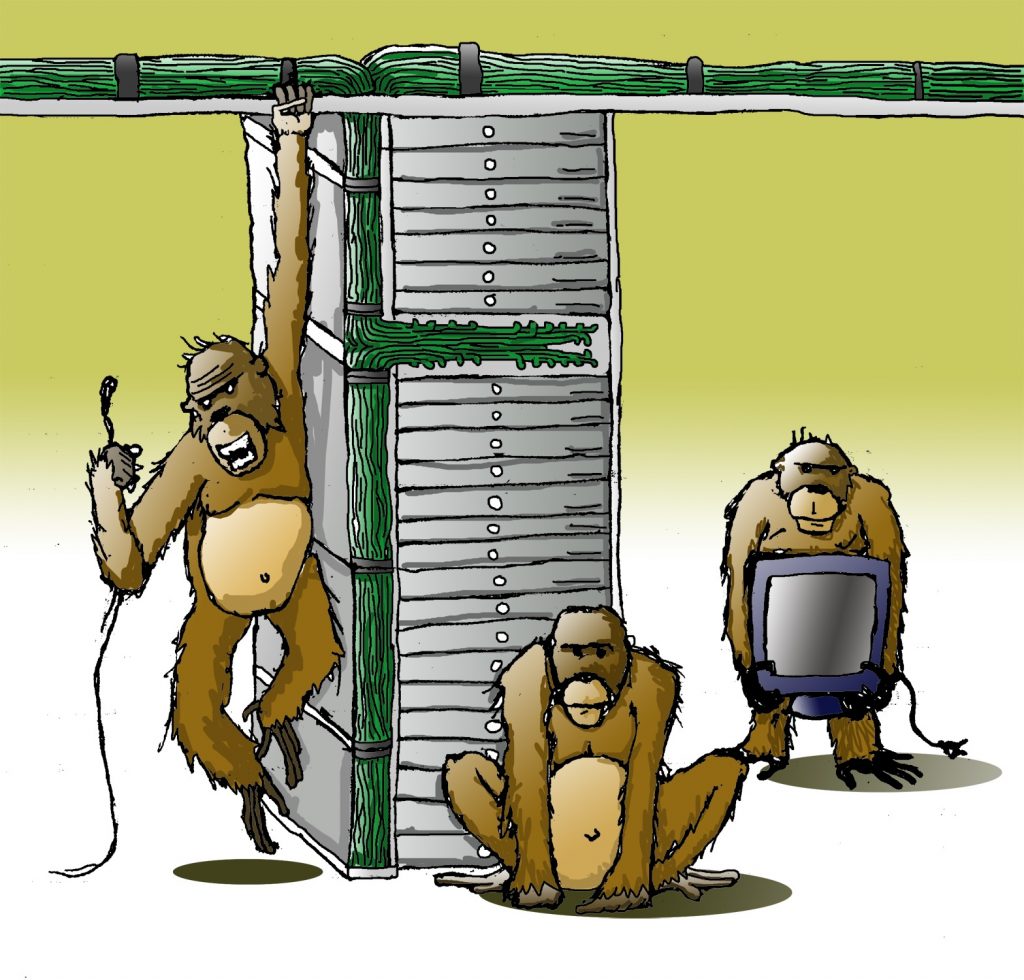 Server Monkeys