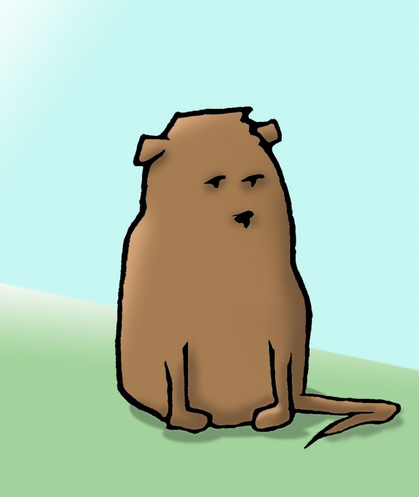 Hamster