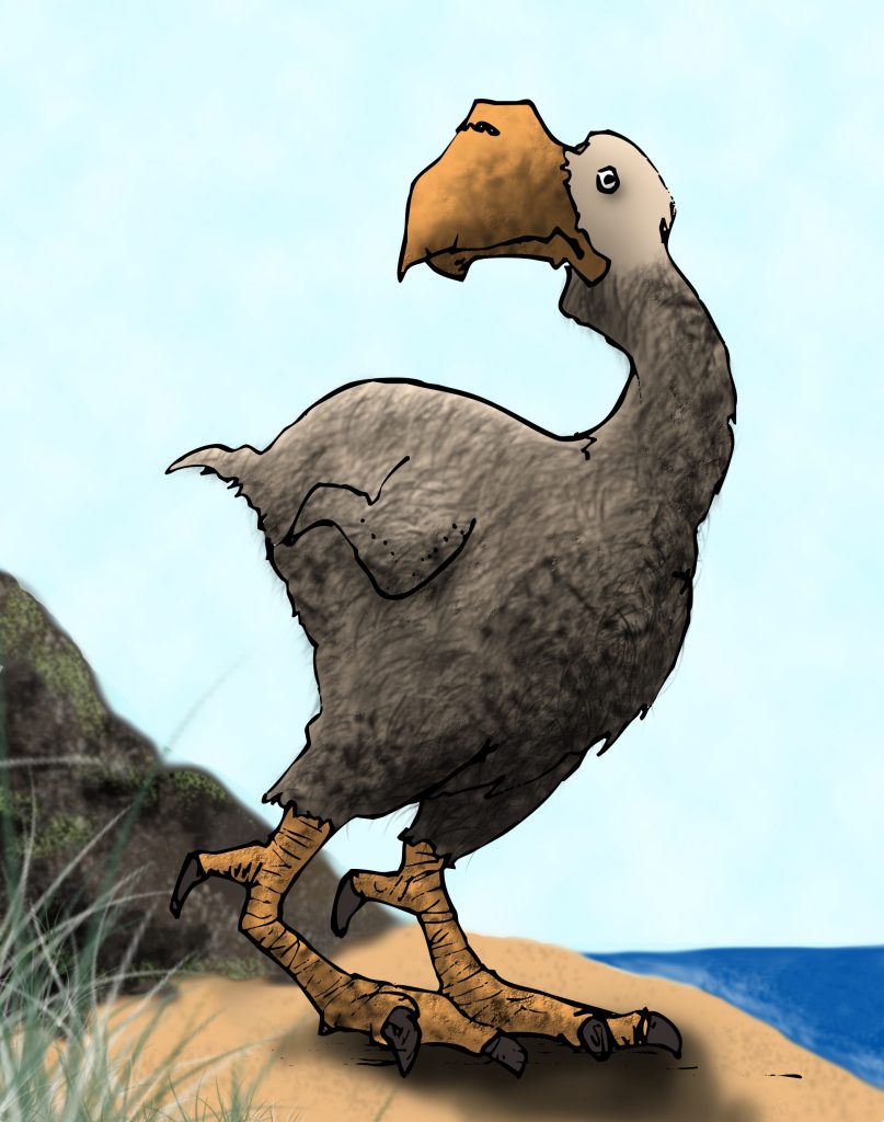 Dodo Bird