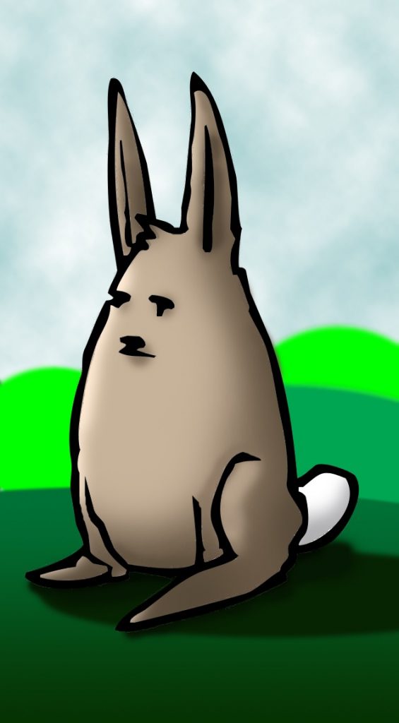 Rabbit