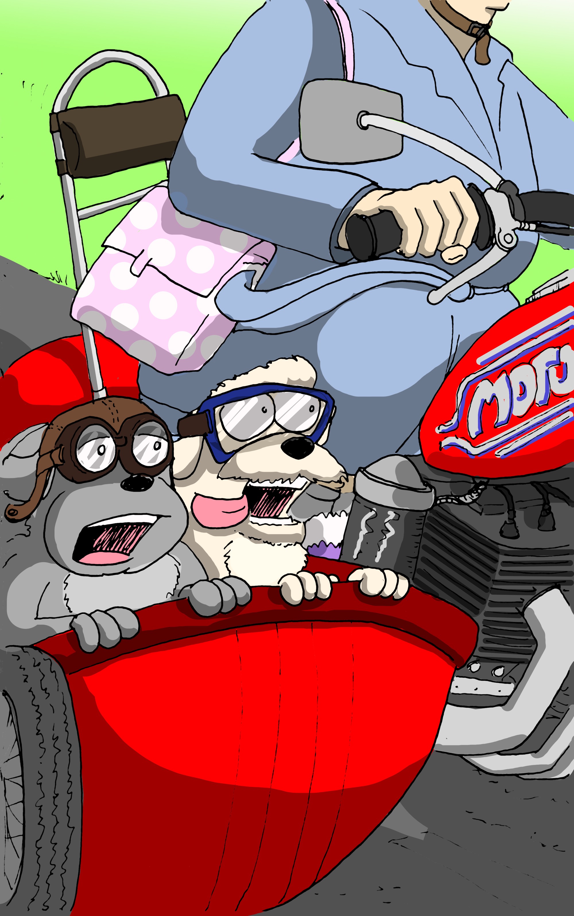 Side Car Dogs
