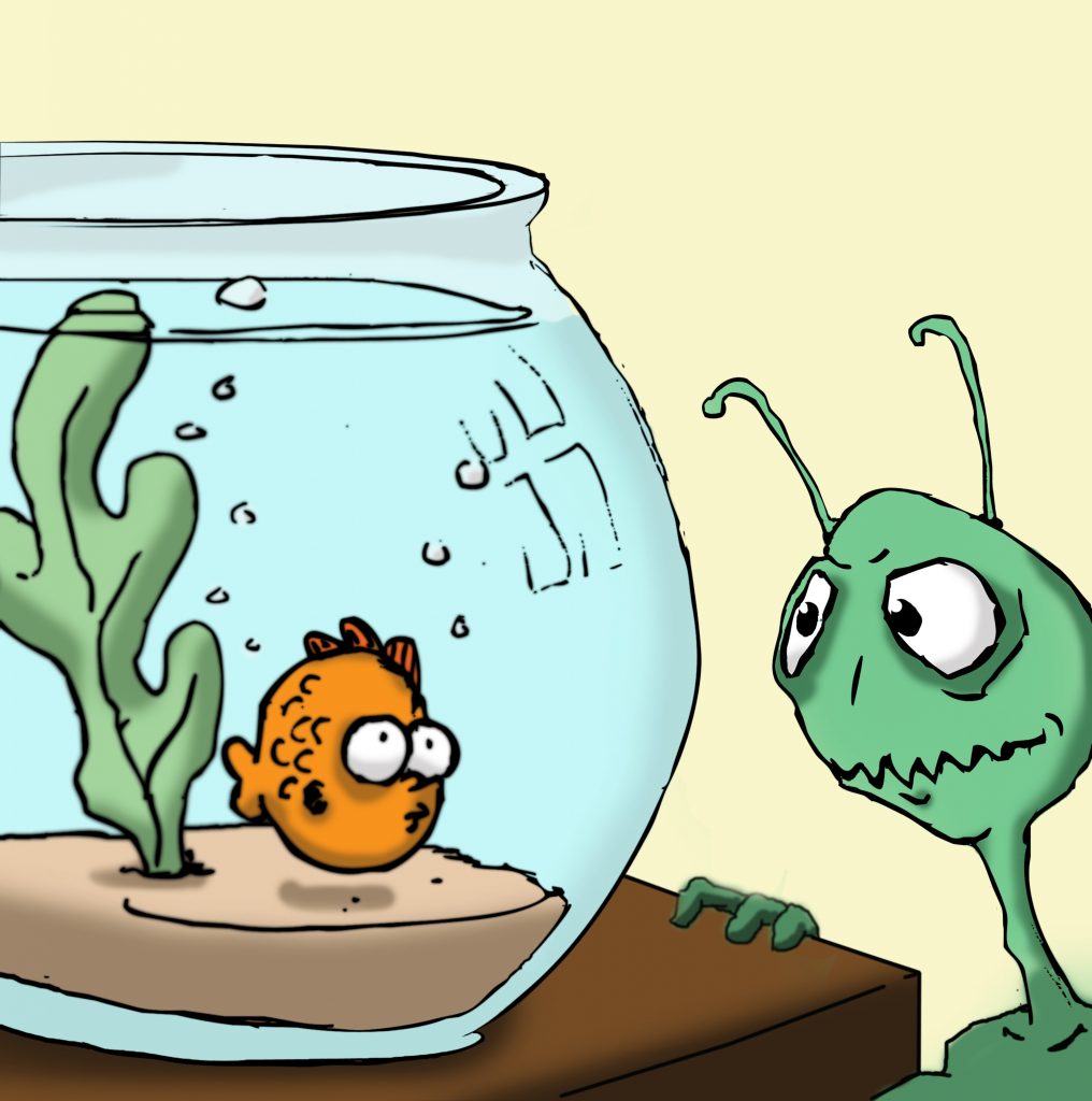 Fish Bowl