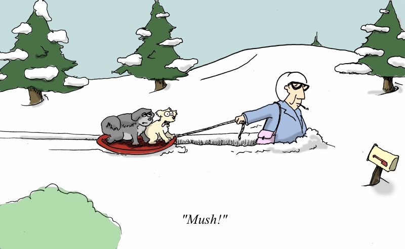 Mush For Us