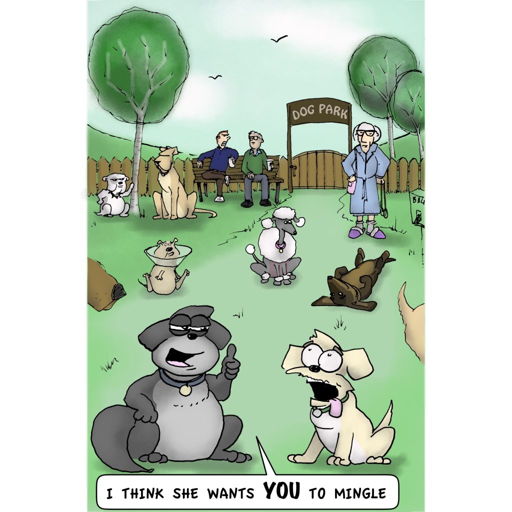 Mingle Dogs