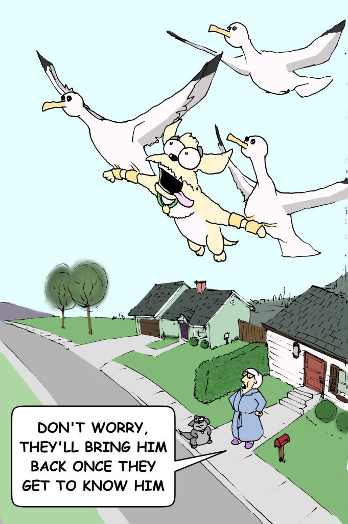 Fly Away Dog