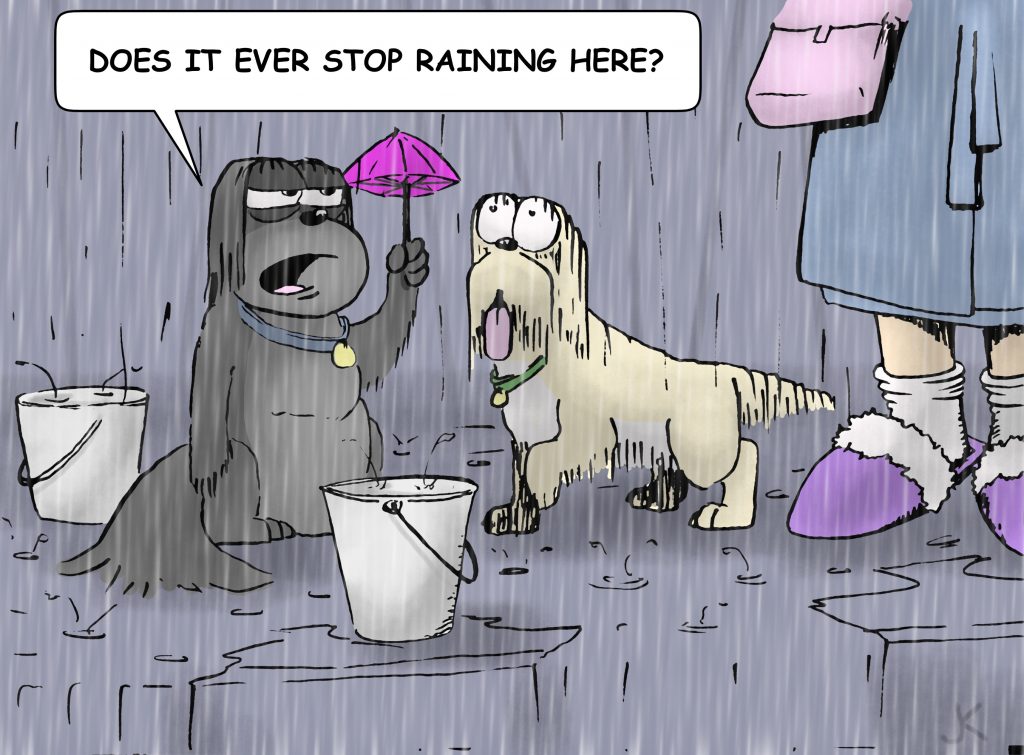 Always Rains