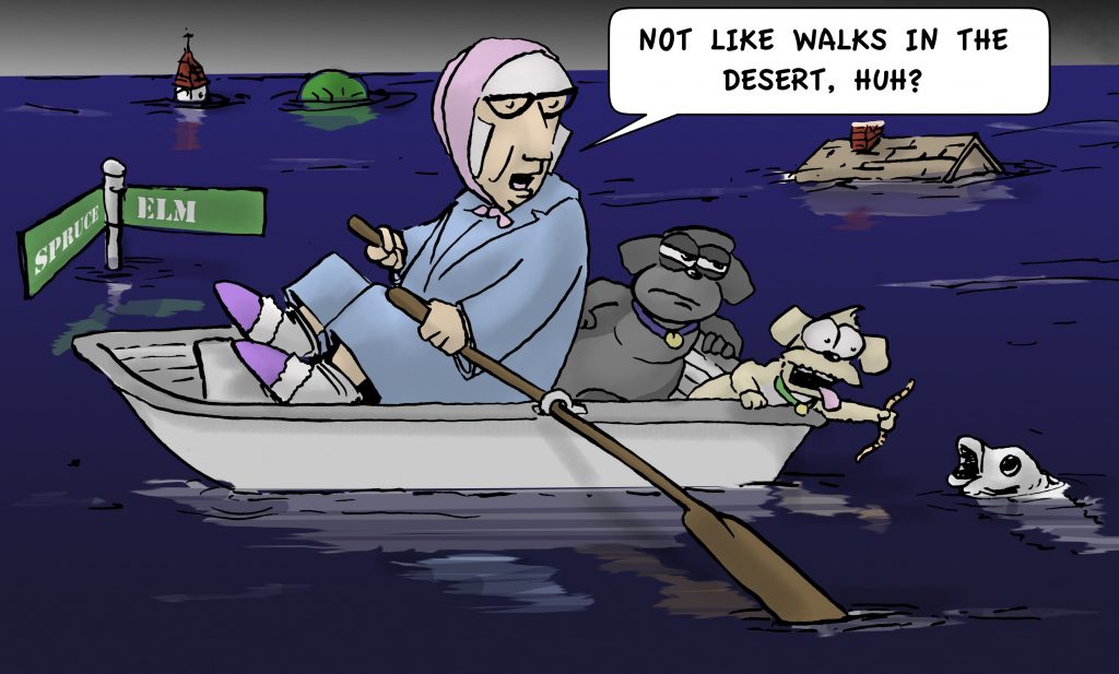 Not Like Desert