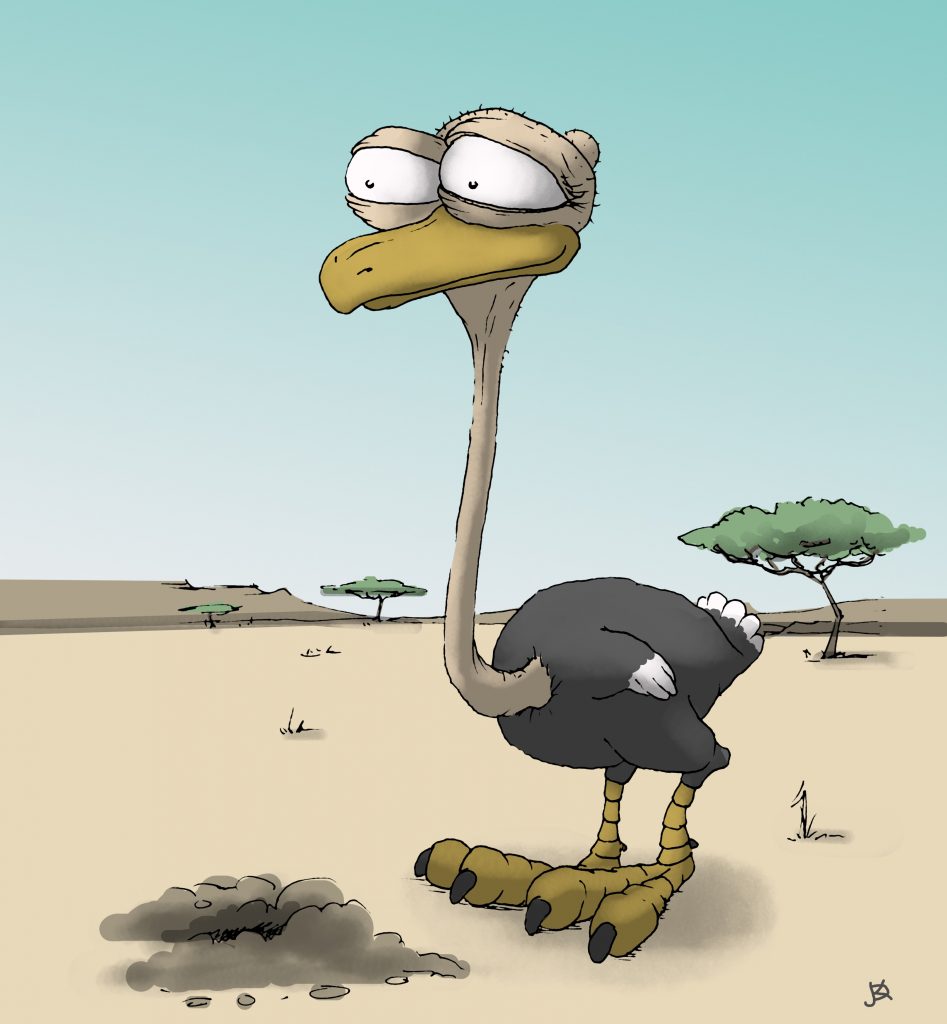 Ostrich