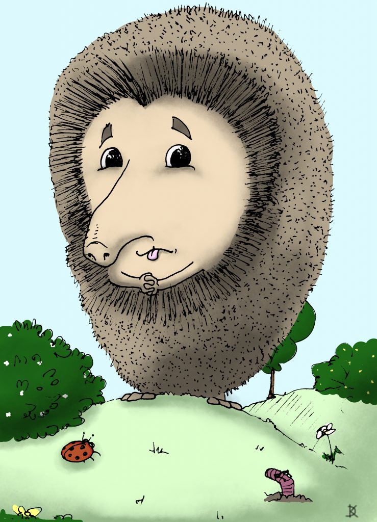 Irma The Hedgehog