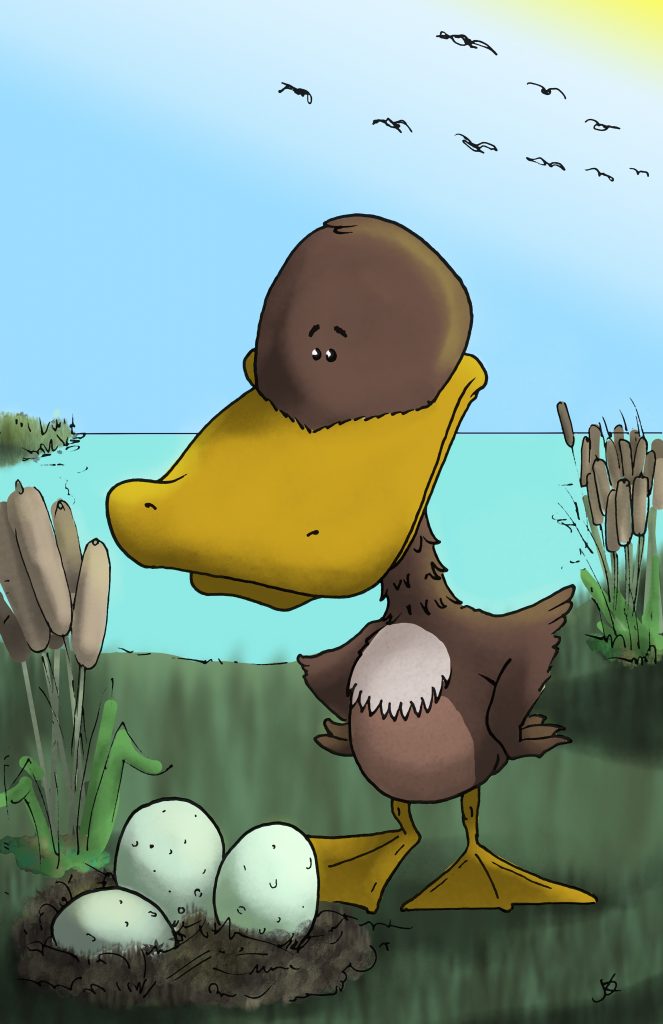 Everything Is Ducky