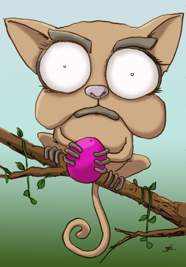 Bush Baby