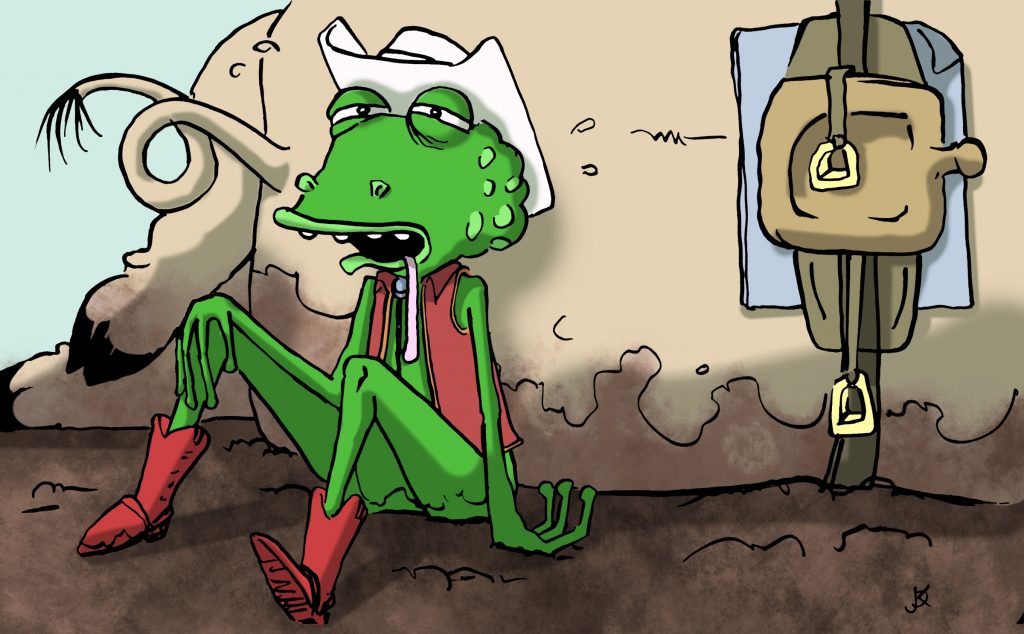 Rodeo Frog And The Sow