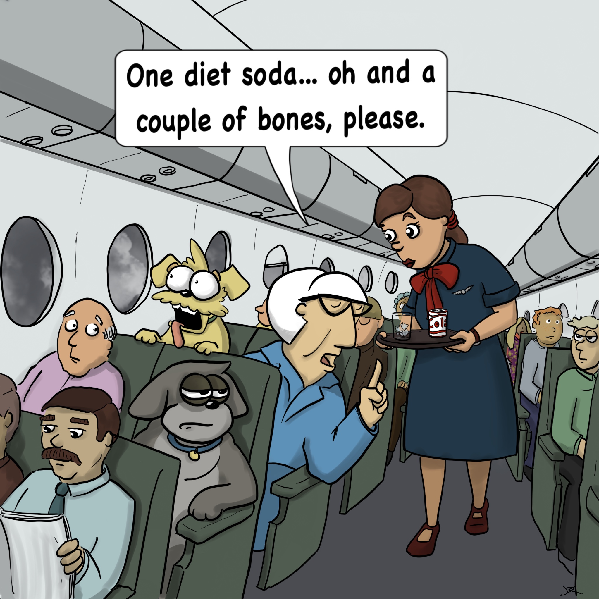 Stewardess
