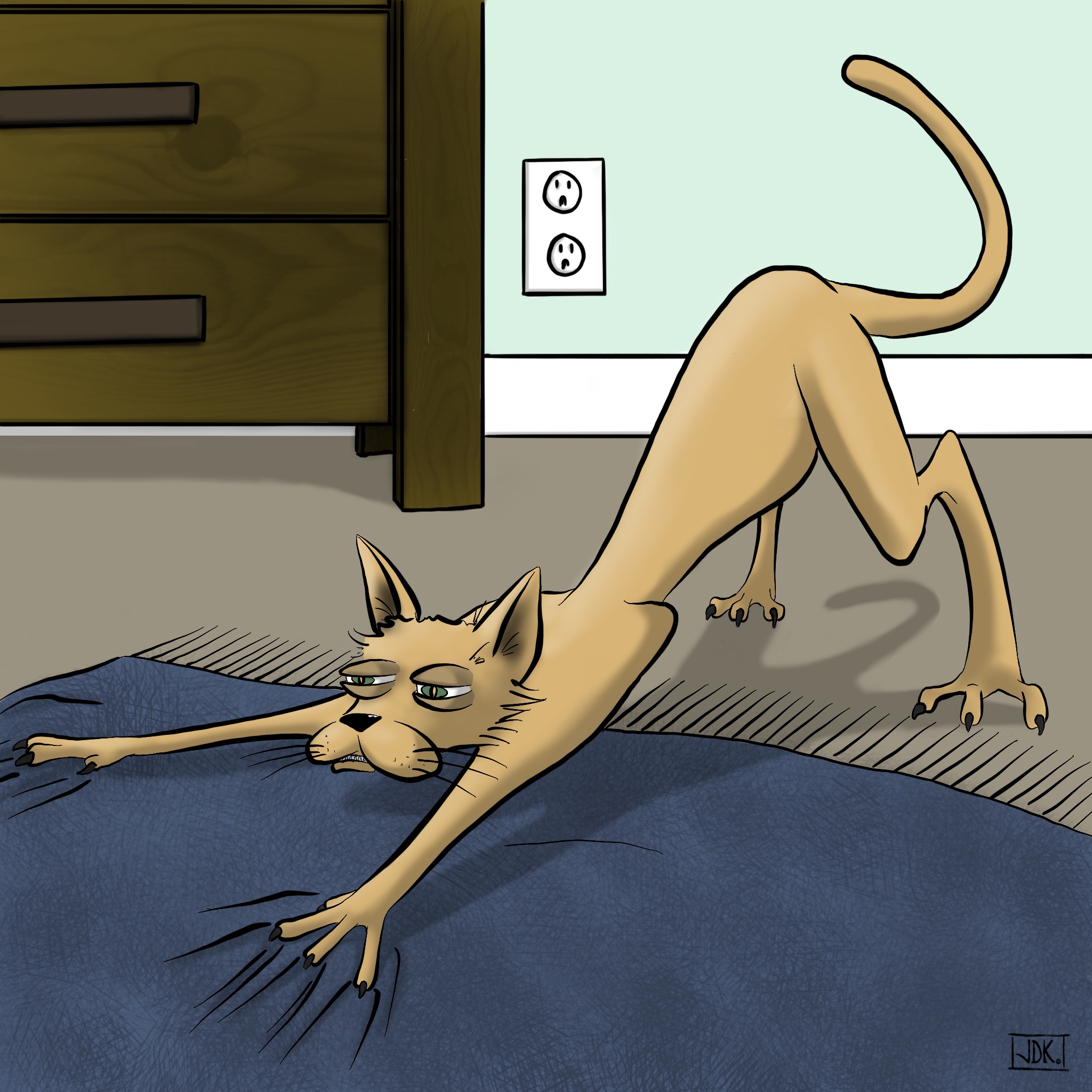 Cat Stretches